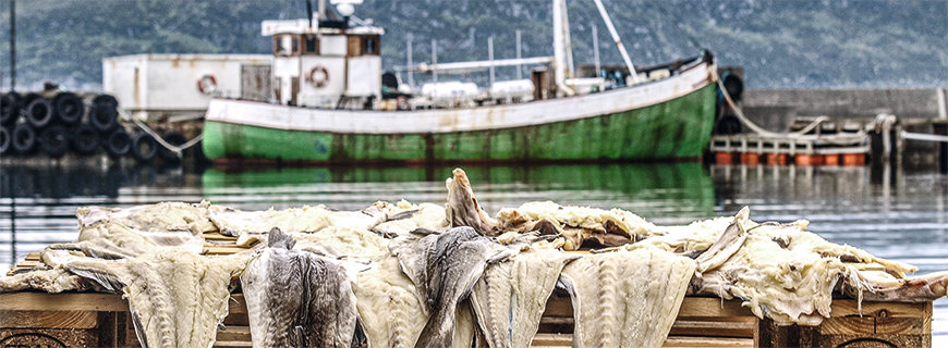 arbeiten-05-header