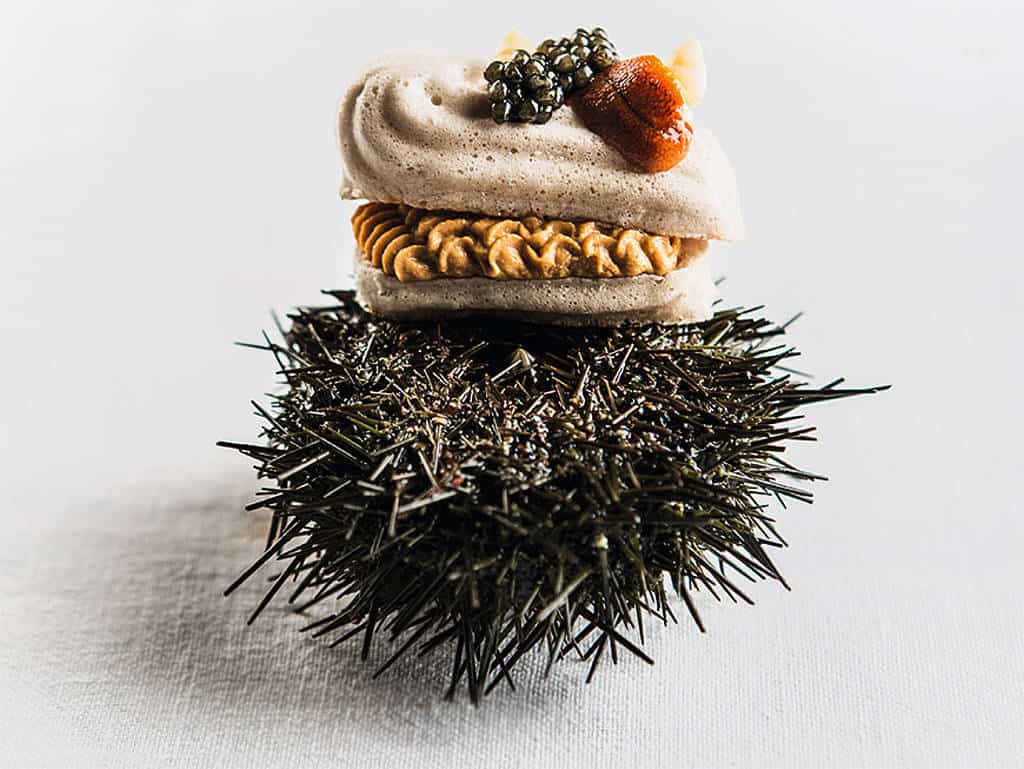 csm_231-foods-2018-header4_9673eaaed5