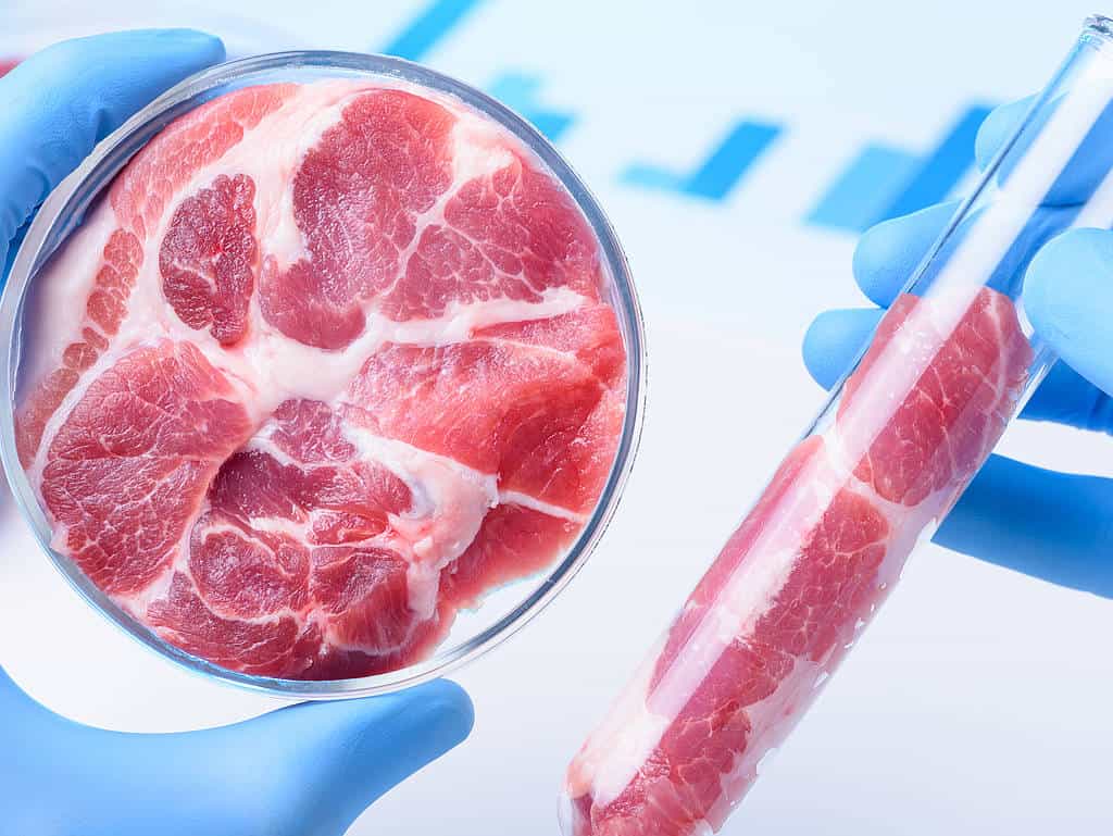 Fleisch aus dem Labor Fleisch aus dem Labor