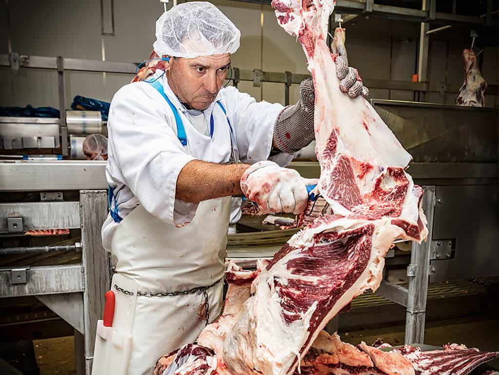 Herrlich marmoriert: Das in Feedlots erzeugte Rindfleisch zeichnet sich durch einen hohen intramuskulären Fettanteil aus Herrlich marmoriert: Das in Feedlots erzeugte Rindfleisch zeichnet sich durch einen hohen intramuskulären Fettanteil aus