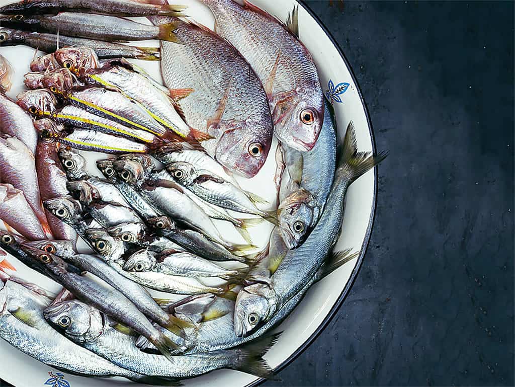 Da guckst du! Ab und an steht auch mal Fisch auf der Karte. Da guckst du! Ab und an steht auch mal Fisch auf der Karte.
