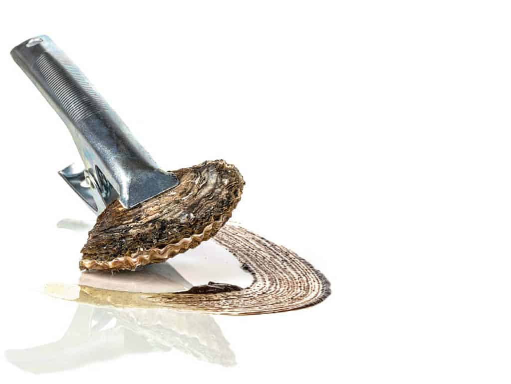 Austern vom Grill – Gefüllt mit Sauce von fermentiertem Knoblauch