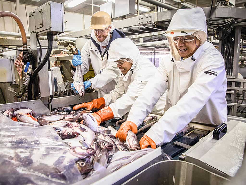 Nils Egtermeyer und zwei Männer beim aussortieren der fische