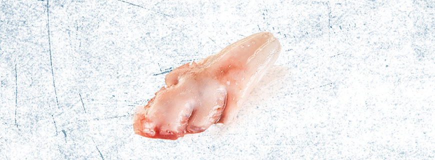 Zunge cuts-01-header