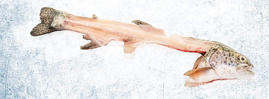 Karkasse cuts-02-header