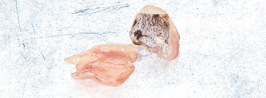 Bäckchen cuts-04-header