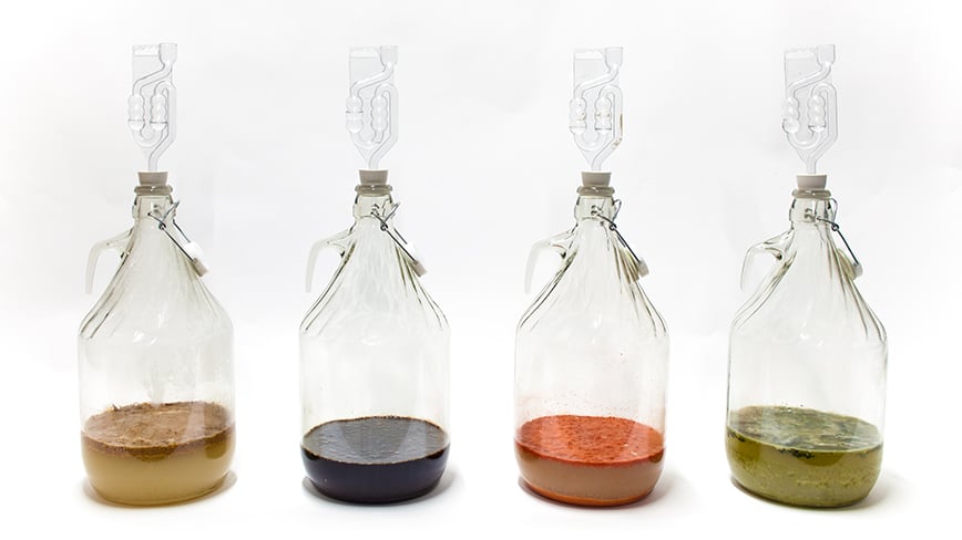 fermentation_saefte
