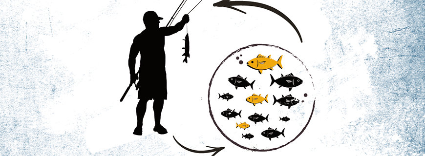 Ökologische Aquakultur fische-grafiken-01-header