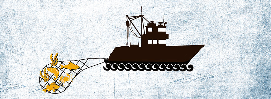 Klassischer Wildfang fische-grafiken-02-header