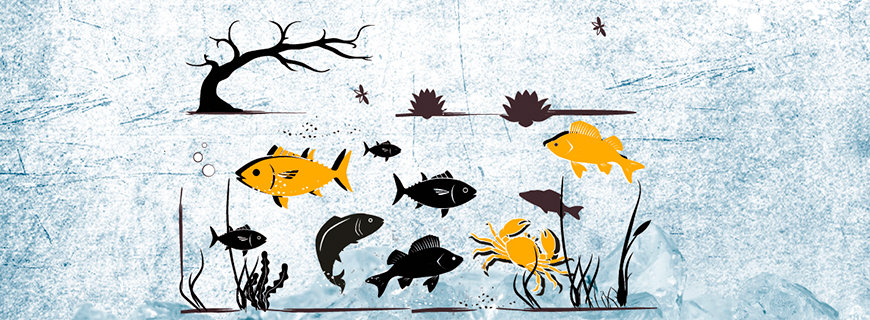 Marine Landwirtschaft fische-grafiken-04-header