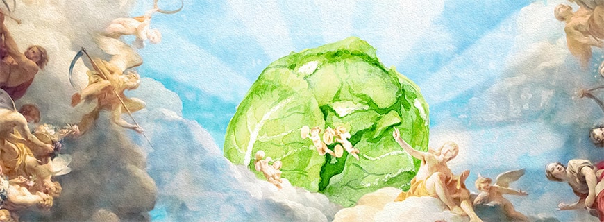 foodamentalisten-01-header