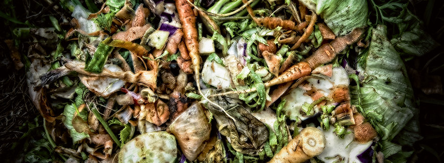 kopf-ueber-in-die-tonne-header2