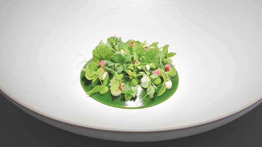 Rezept von Nenad Mlinarevic
