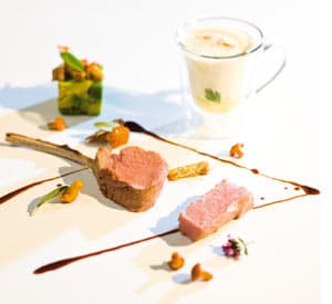 Gewinnfaktor Food Design Gewinnfaktor Food Design