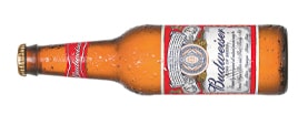 Budweiser