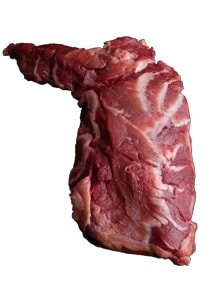 Schweine Zahnfleisch Schweine Zahnfleisch