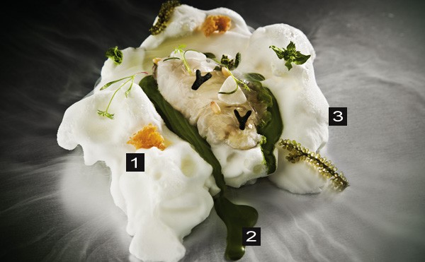 Ostra al Pesto