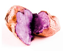 Vitelotte