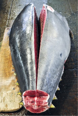 ein in zwei Hälften getrennter Fisch