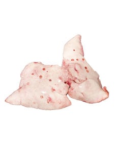 Fischleber