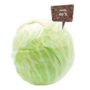 Salatkopf