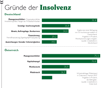 Balkendiagramm der Gründe der Insolvenz 