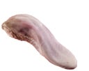 Kalb