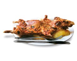 Meerschweinchen