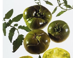 Charlie's green