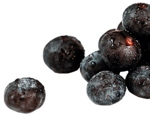 Acai-Beere 