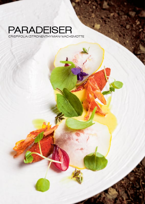 Wachsmotten Rezept