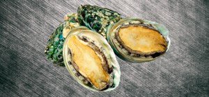 Abalone