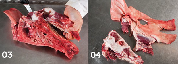 Die Ausbeute aus einem halben Schweinekopf
