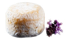 Crottin de Chavignol