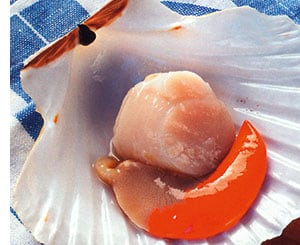 das Fruchtfleisch einer Muschel