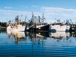 ein Hafen mit Fischerbooten 