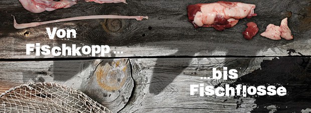 vom Fischkopp bis zur Fischflosse