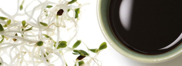 Sojasosse als letzter Aromakick Sojasosse als letzter Aromakick