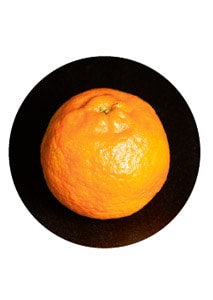 Yuzu