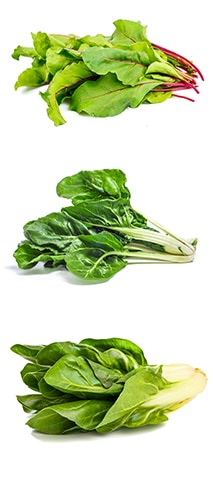 Mangoldsorten