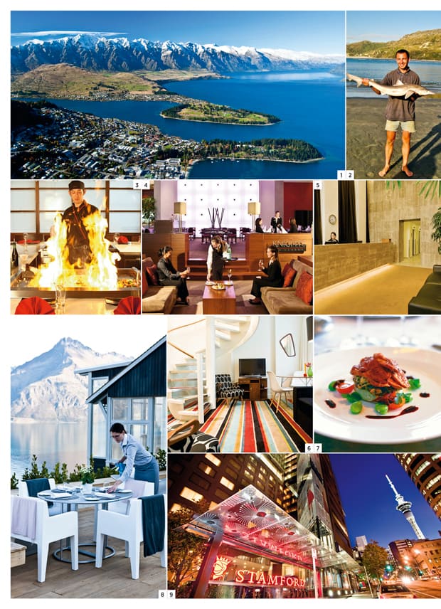 Karrierecheck Neuseeland eine Collage der Highlights in Neuseeland
