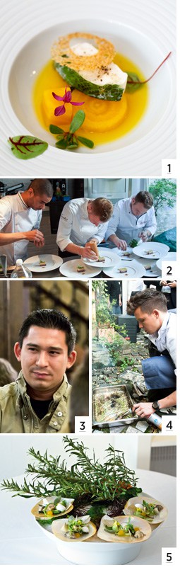 Highendfood ein Zusammenschnitt von Bildern der Chefs next Generation