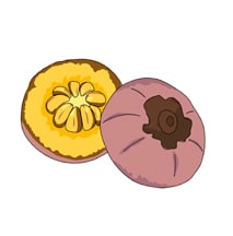 Sapote