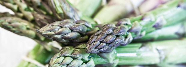 Spargel