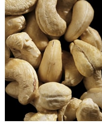 Cashewnuss