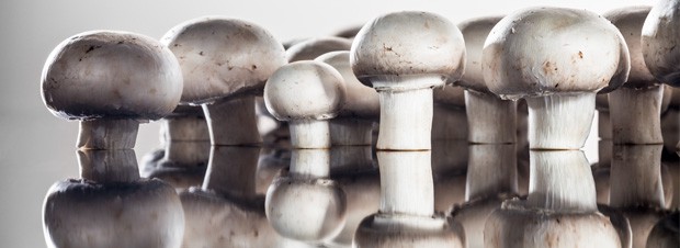 Champignon