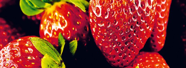 Fruktose