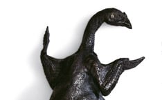 Schwarzhäutiges Huhn 
