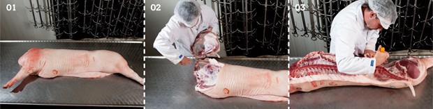 Step by Step-die Grobzerlegung