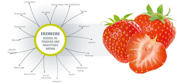 Erdbeeren